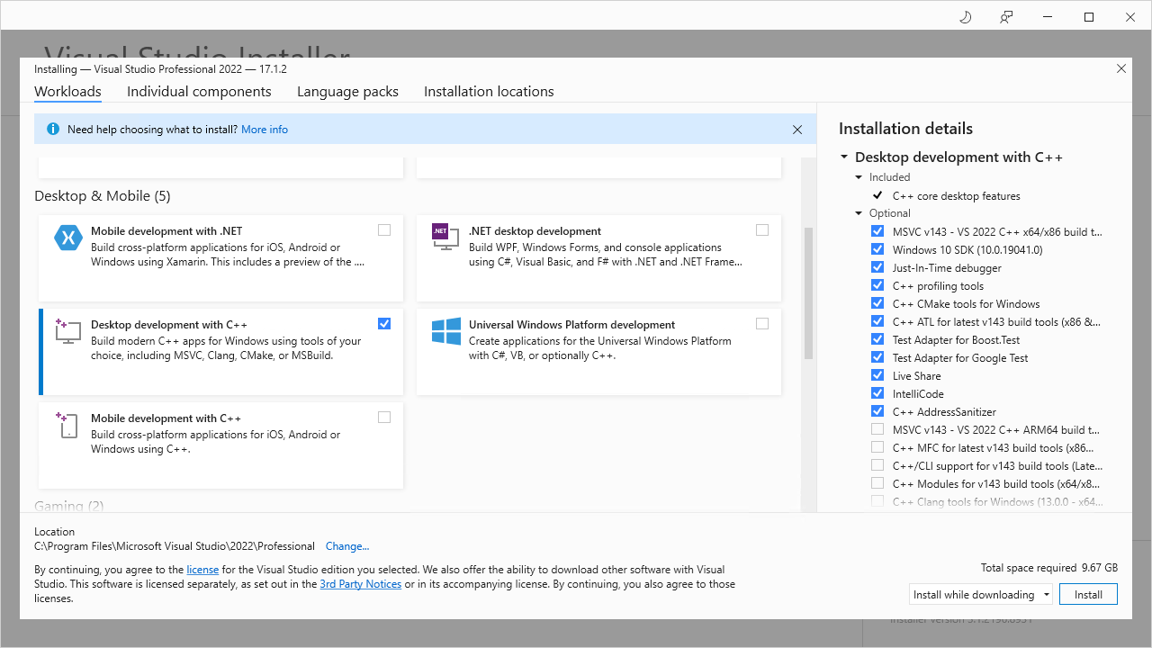 Visual Studio 2022 Professional Edition Installer Options Page